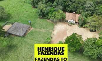 Imagem 7: Fazenda beira da BR 13 região Central do Tocantins ....