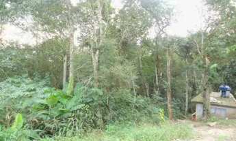 Imagem 3: Terreno à venda, 16500 m² por R$ 1.300.000,00 - Parque dos Jacarandás - Arujá/SP