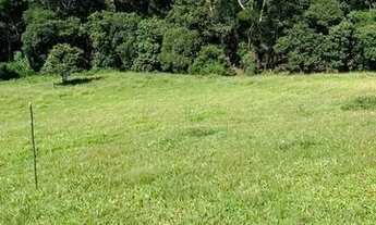 Imagem 7: Ml - Vendo Terreno para lazer e tranquilidade