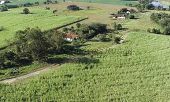 Imagem 7: Sítio com 26,5 alqueires, Itapetininga (Nogueira Imóveis Rurais