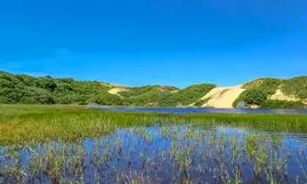 Imagem 2: TERRENO EM MORRO BRANCO - 150 m²