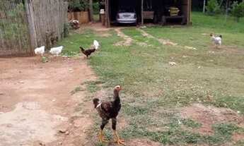 Imagem 4: Chácara a venda em Mandirituba-PR 12.075