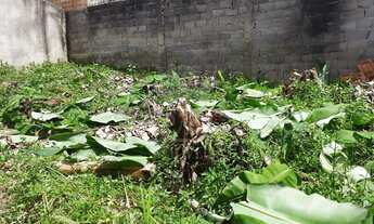 Imagem 7: Terreno em Jardim Mauá - Mauá - SP]