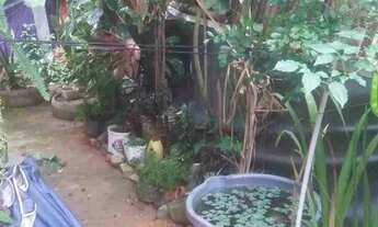 Imagem: Troco ou vendo casinha estilo rústica