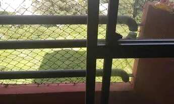 Imagem 5: Apartamento em Jardim Celeste - São Paulo