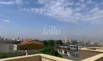 Imagem 3: São Paulo - Apartamento Padrão - Vila Matilde