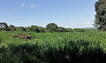 Imagem 2: Sítio à venda, 532400 m² por R$ 4.700.000,00 - Zona Rural - Caldazinha/GO