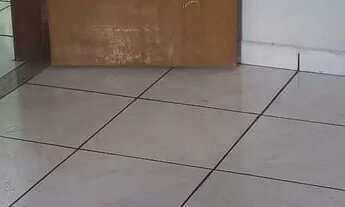 Imagem 3: Aluguel casa Casa com 3 dormitórios