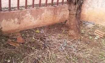 Imagem 2: Casa Jardim Tarumã