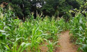 Imagem: ESCRITURADO !! Lote/Terreno para venda possui