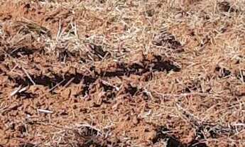 Imagem: Chácara em esmeraldas