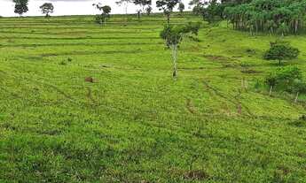 Imagem: Terezópolis de Goiás - Chácara - Zona
