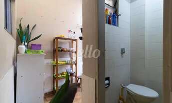 Imagem 5: São Paulo - Casa Padrão - Belém