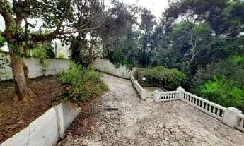 Imagem 4: Código do anúncio: 184787