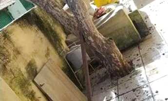 Imagem 4: Casa vila portuguêsa