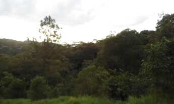 Imagem 7: Terreno à venda, 16500 m² por R$ 1.300.000,00 - Parque dos Jacarandás - Arujá/SP