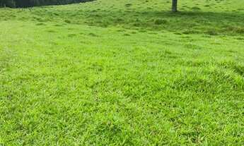 Imagem 7: TB - Vendo Terreno a 2 km do mercado