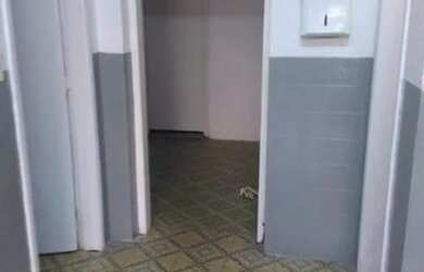 Imagem 7: CASA ASSOBRADADA - ANÁLIA FRANCO - SP