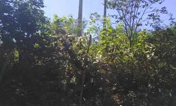 Imagem 4: Oportunidade de terreno à venda no Crato