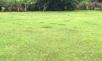 Imagem 7: EC - Vendo Terreno para Lazer e Tranquilidade, Venha Conferir !!