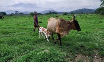 Imagem 7: Alugo casas, apto em Nova Iguaçu, são João de Meriti RJ apartir de 500 com 1 qto