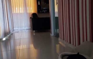 Imagem 4: ALUGA-SE ( CIDADE NOVA