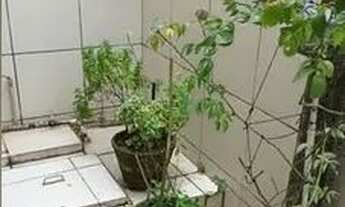 Imagem 5: Excelente casa para alugar em Areias!