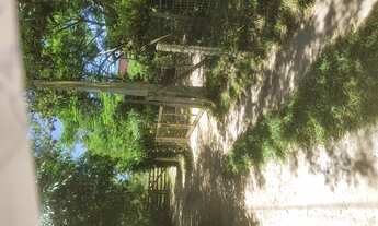 Imagem 5: Ótimo terreno a 200 metros da lagoa