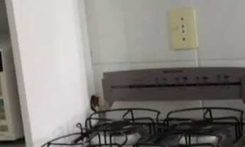 Imagem 5: AP dois quartos grande mobiliado no Rosarinho