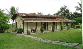 Imagem 5: MARAVILHOSA OPORTUNIDADE FAZENDA EM MARAGOGIPE 120TA