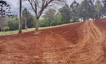 Imagem 3: Chácara em Santa Tereza do Oeste - PR!