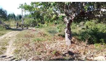 Imagem 3: FAZENDA PEDRA NO DISTRITO DE BOA UNIÃO - 25 TAREFAS DE TERRA - BR 110 - PORTÃO - ALAGOINHA