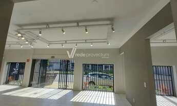 Imagem 5: Salão - Cambuí - Campinas