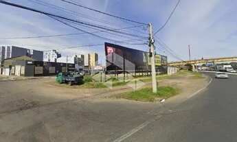 Imagem: Terreno à margem da BR 116