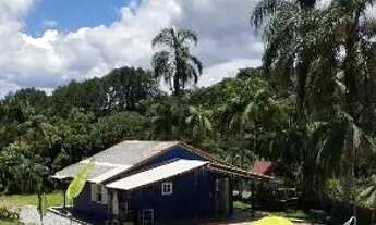 Imagem 5: Sítio fácil acesso