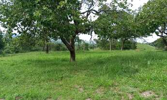 Imagem 5: Fazendinha a venda, em Goiás Velho - GO