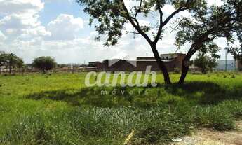 Imagem 5: Terreno Comercial/Área Incorporação -Vila Carvalho -Ribeirão