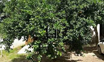 Imagem 5: Chácara em São Miguel do Passa Quatro