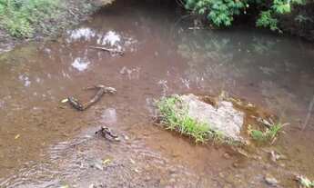 Imagem 2: Fazenda Cocalzinho de Goias com 159