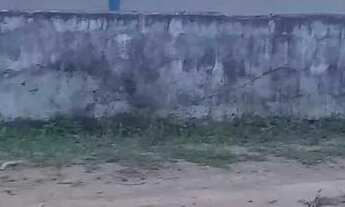 Imagem: Casa Grande com terreno e árvores frutíferas