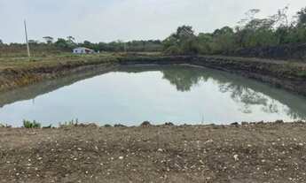 Imagem 3: CHÁCARA EM GOIANIRA (OPORTUNIDADE) 20.000 M²