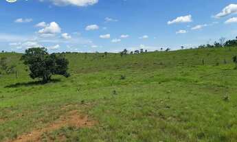 Imagem 5: FAZENDA À VENDA EM POCONE MT 39.368 HECTARES (PECUÁRIA