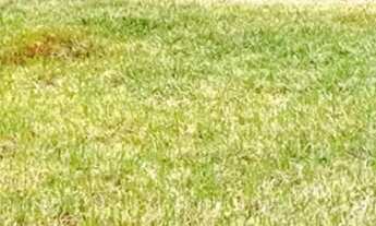 Imagem 7: Casa á venda com 3 quartos sendo 1 suíte no Água Limpa Park em Campo Grande - MS