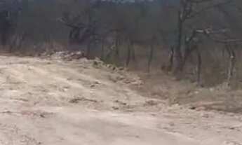 Imagem 3: Terreno 7 d frente por 20 d fundos