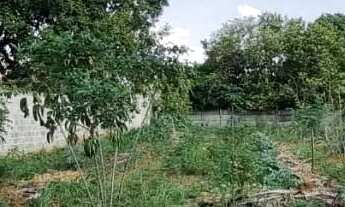 Imagem: TERRENO/CHÁCARA 1.100 M² EM CEDRAL-SP