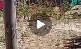 Imagem 2: Vendo ou troco em carro do meu interesse lote na samambaia norte abaixo da quadra 623