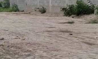 Imagem: Vendo um lote