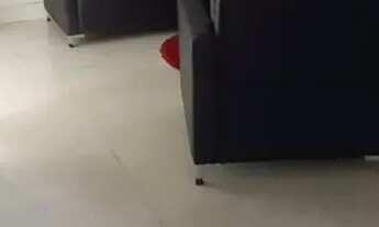 Imagem 5: Imóvel para aluguel possui 85 metros quadrados com 3 quartos em Residencial Eldorado - Goi