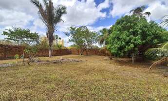 Imagem 6: Terreno em Avenida