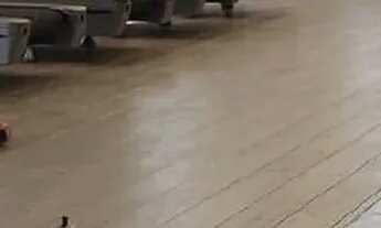 Imagem 6: Residencial Golden Clube Barros Junior, última unidade garden 3 quartos com suíte prontos